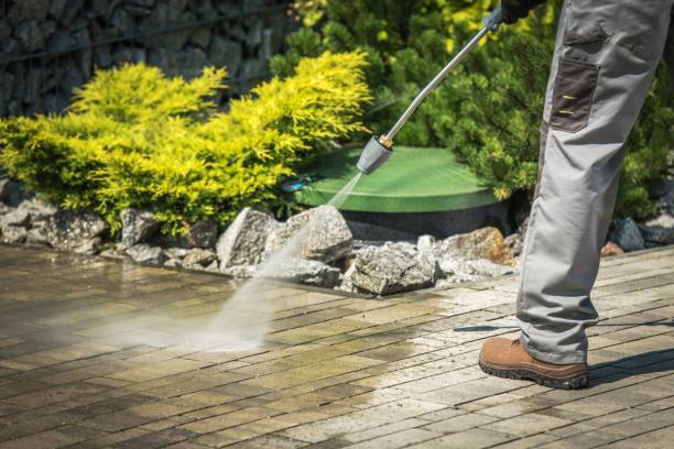 Best Fence Cleaning  in Superior, CO